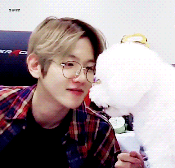 흔한 동물 확대범 아이돌.....jpg | 인스티즈