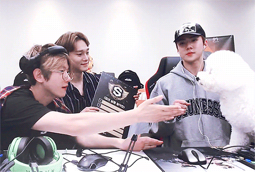 엑소 한멤버 성격이 캐해랑 안 맞아 배신감 들어 | 인스티즈