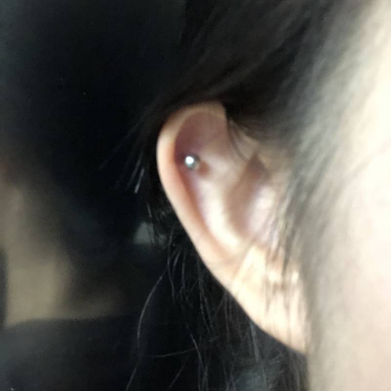 귀잘알익들아 내가 뚠 저 부분이 아웃컨츠야? 귓바퀴야?? | 인스티즈