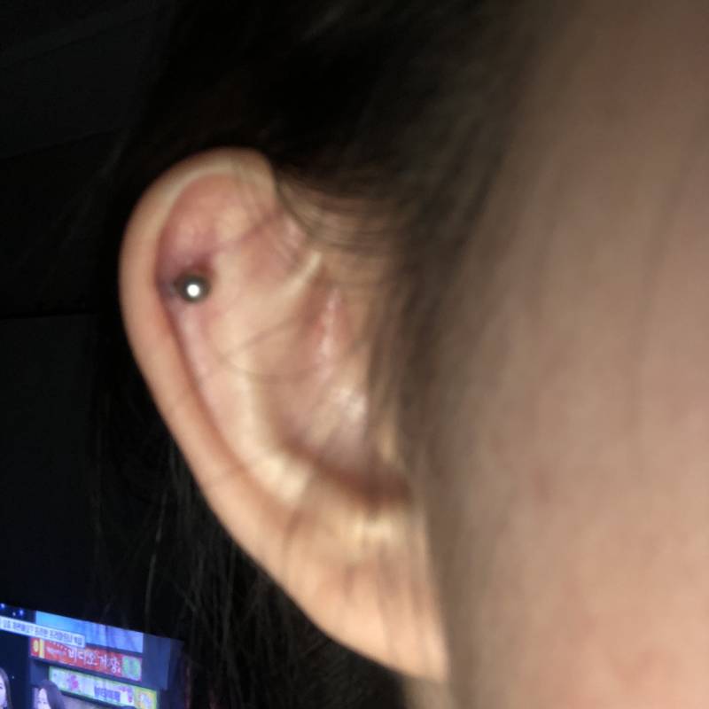 귀잘알익들아 내가 뚠 저 부분이 아웃컨츠야? 귓바퀴야?? | 인스티즈