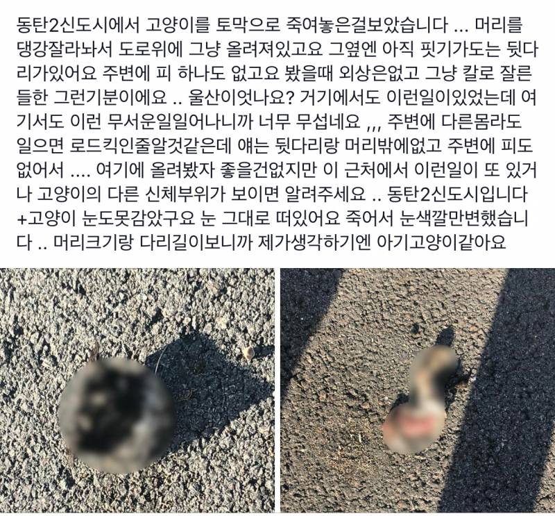 진짜 이런 짓을 왜 하는거야(ㅎㅇㅈㅇ) | 인스티즈