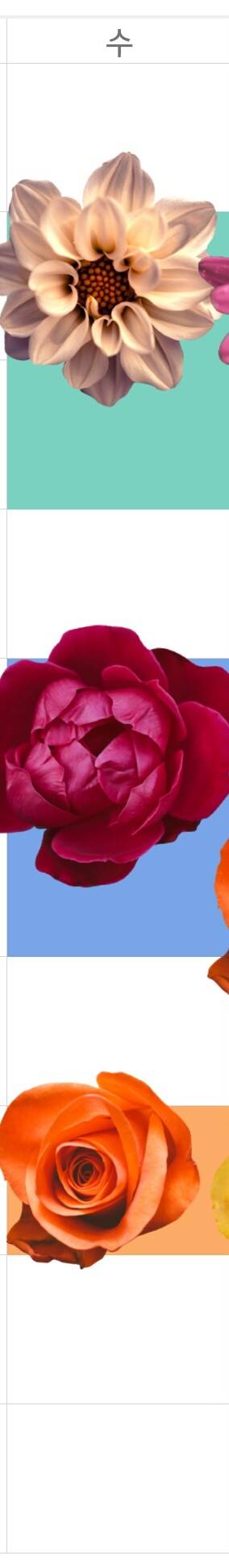 밤새고 통학한다 | 인스티즈