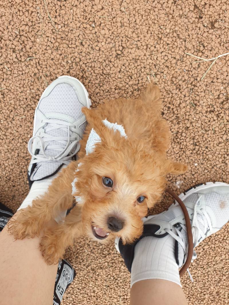 갱얼쥐가 나오자하는줄알고 | 인스티즈