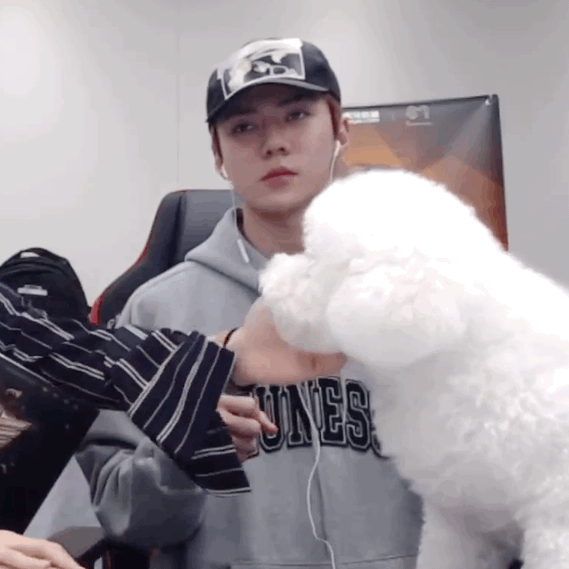 흔한 동물 확대범 아이돌.....jpg | 인스티즈