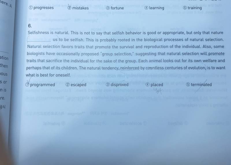 영어 문제 하나만 봐주라ㅠㅠ | 인스티즈