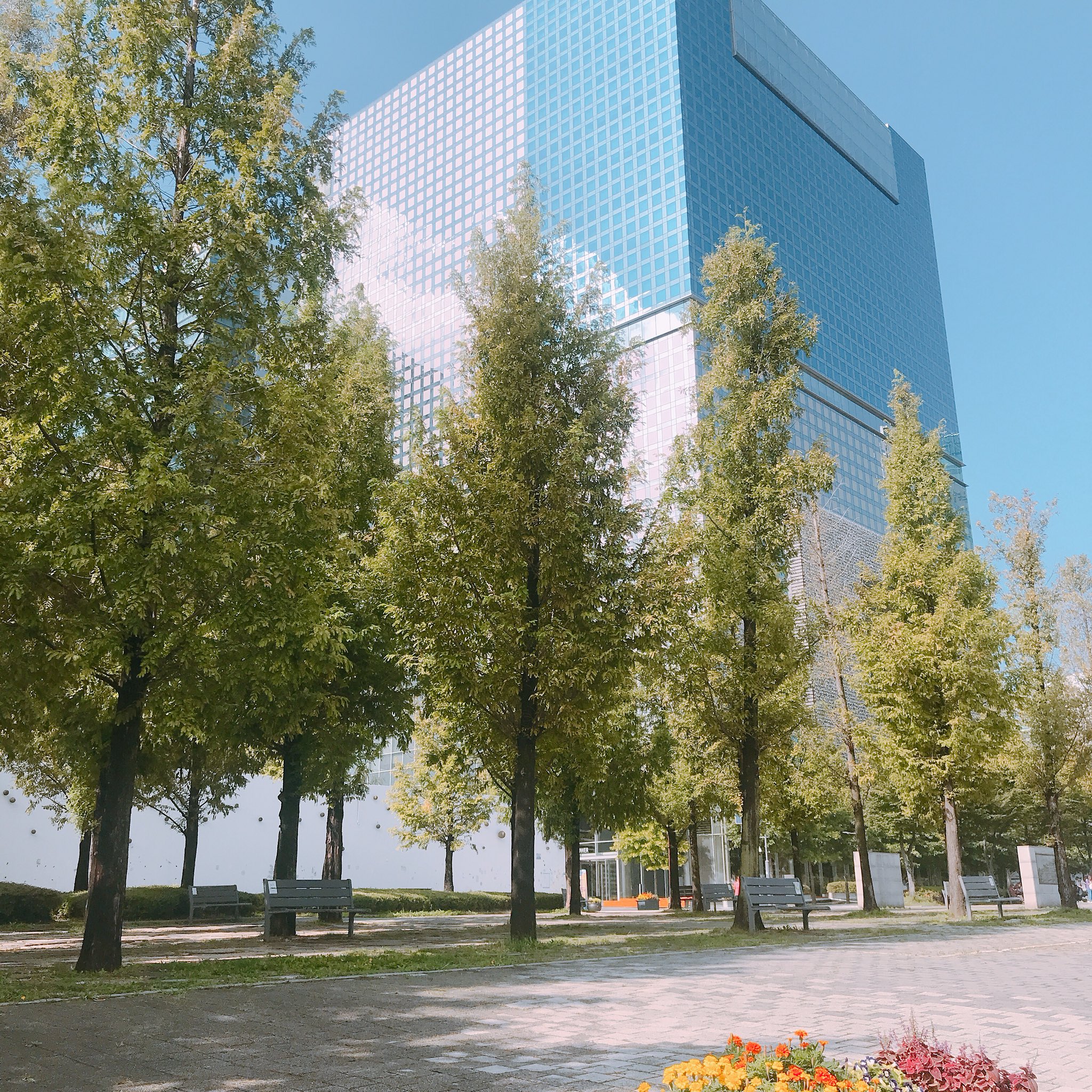 워너원 공트 애들 사진만 저장하는데 뜬금없이 예뻐서 저장한거 | 인스티즈