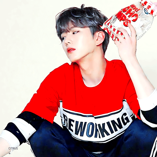 우리 딴딴쥐..상어.. 보고싶다 | 인스티즈