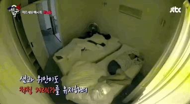 비정상회담) 둘이 얼만큼 친한 사이같애?(장른) | 인스티즈