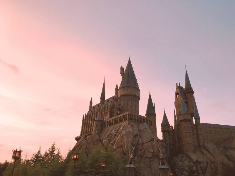 내가 찍은 사진 4!0! | 인스티즈