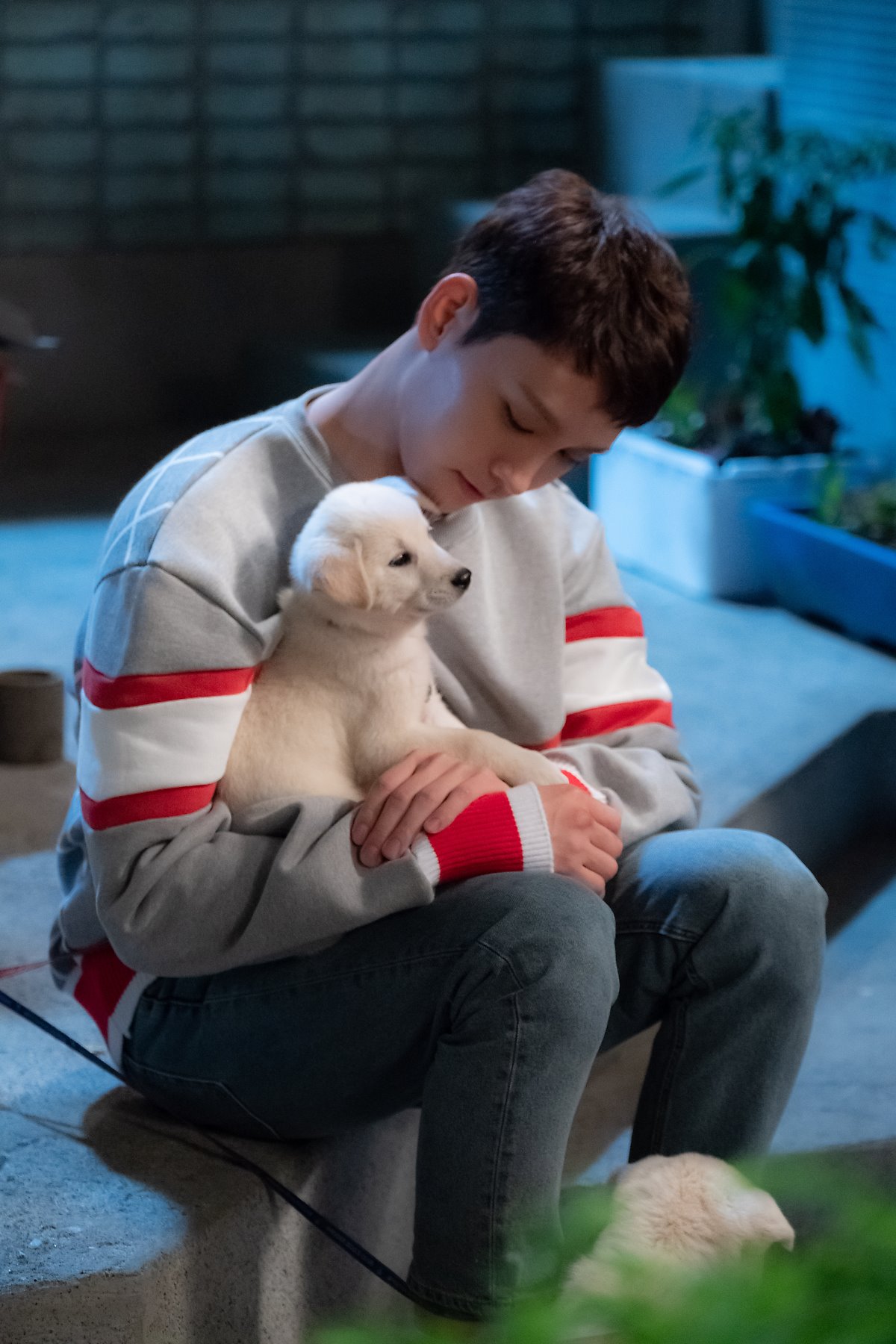 배우플이니까 내 배우 사진 놓고가야지!! | 인스티즈