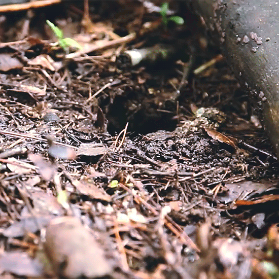 이진혁 ㄹㅇ 대럼지 맞다 | 인스티즈