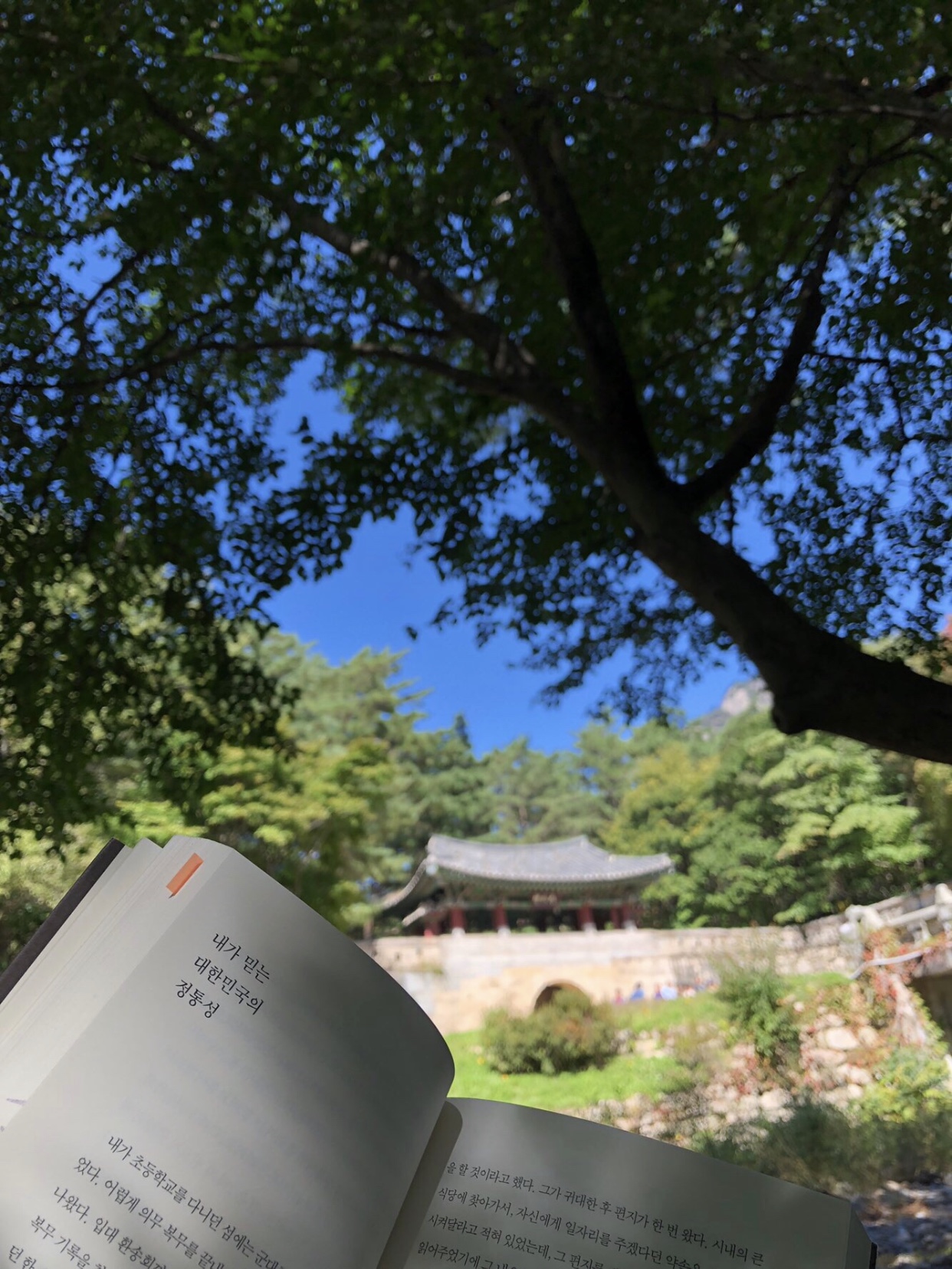 여기 어딘지 아는 사람.. | 인스티즈