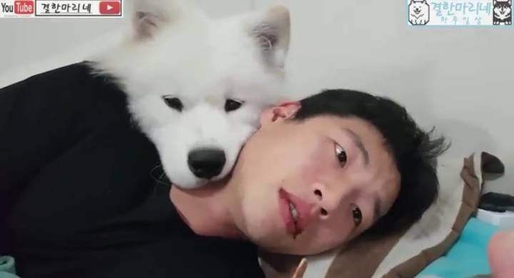 쥬인이가 아이스크림 안줘서 시무룩 한거래ㅜㅜㅜㅜㅜㅜㅜ ㄱㅇㅇ ㅠㅠㅠ | 인스티즈