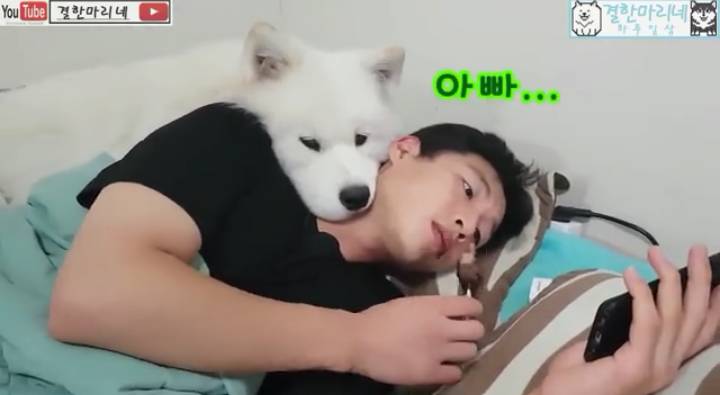 쥬인이가 아이스크림 안줘서 시무룩 한거래ㅜㅜㅜㅜㅜㅜㅜ ㄱㅇㅇ ㅠㅠㅠ | 인스티즈