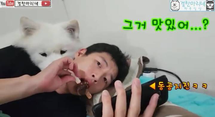 쥬인이가 아이스크림 안줘서 시무룩 한거래ㅜㅜㅜㅜㅜㅜㅜ ㄱㅇㅇ ㅠㅠㅠ | 인스티즈