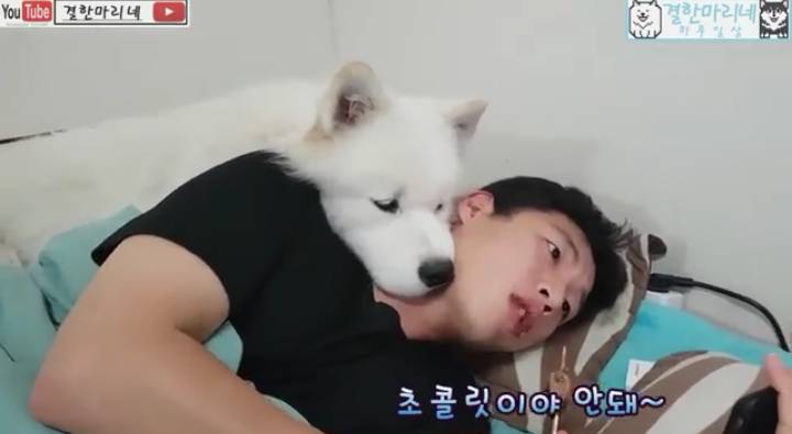 쥬인이가 아이스크림 안줘서 시무룩 한거래ㅜㅜㅜㅜㅜㅜㅜ ㄱㅇㅇ ㅠㅠㅠ | 인스티즈