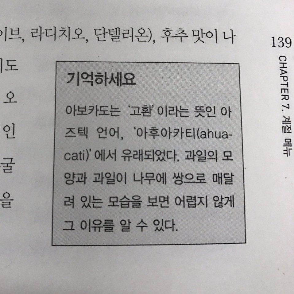 아보카도 tmi 🥑 | 인스티즈