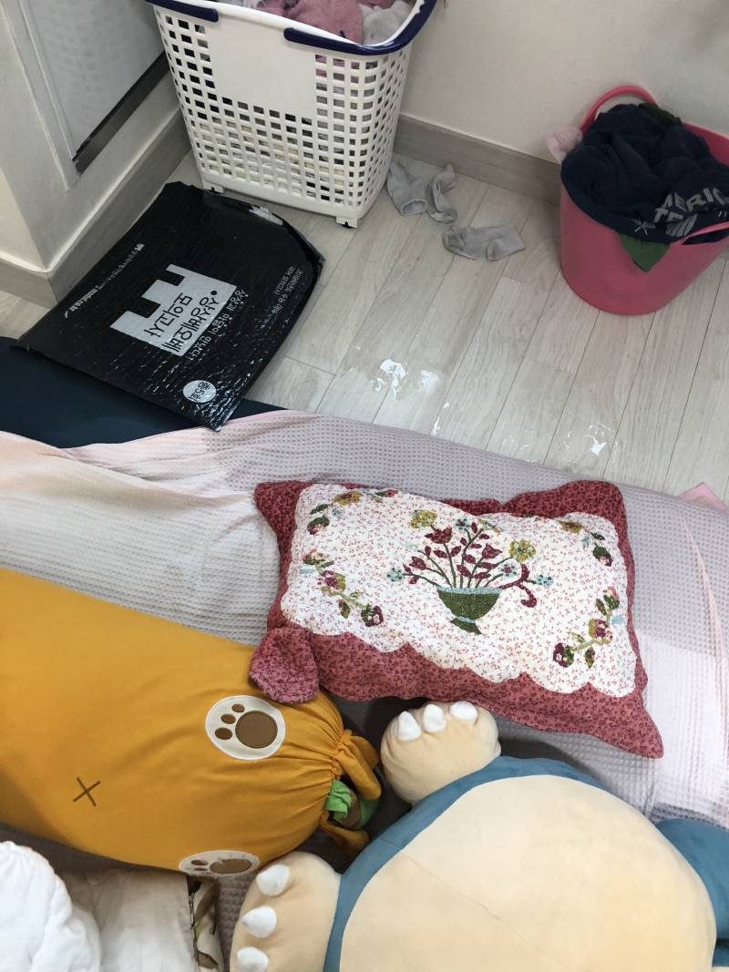 재수익 학원 강제 귀가하고 자취방 가는데 건물 다 부숴짐... | 인스티즈