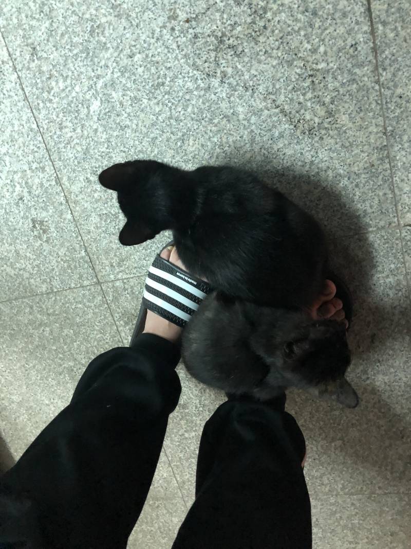 이정도면 간택아니야? ㅠㅠㅠ40 | 인스티즈