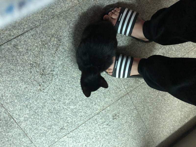 이정도면 간택아니야? ㅠㅠㅠ40 | 인스티즈