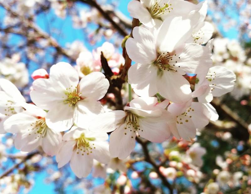 나 멜빵 샀는데 큰일났어ㅠㅠㅜㅜㅜㅜㅜ | 인스티즈