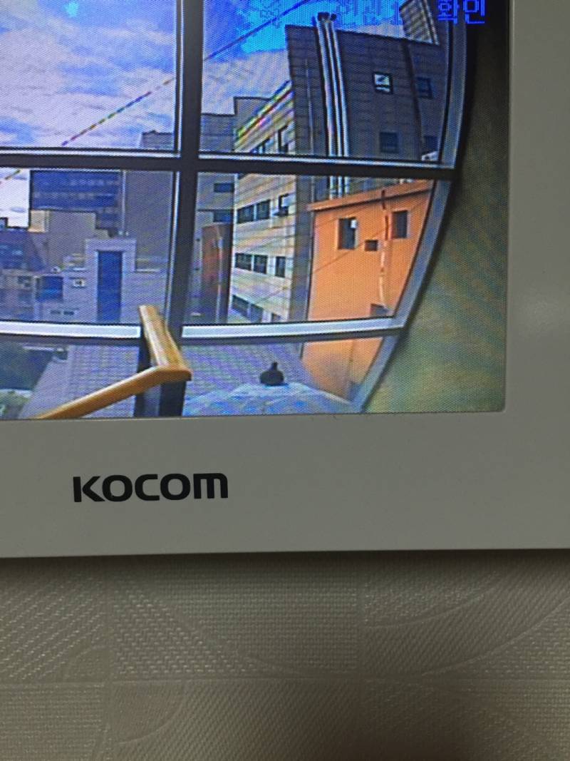 아 어떡해 우리집앞에 비둘기있어ㅋㄱㄱㄲ | 인스티즈