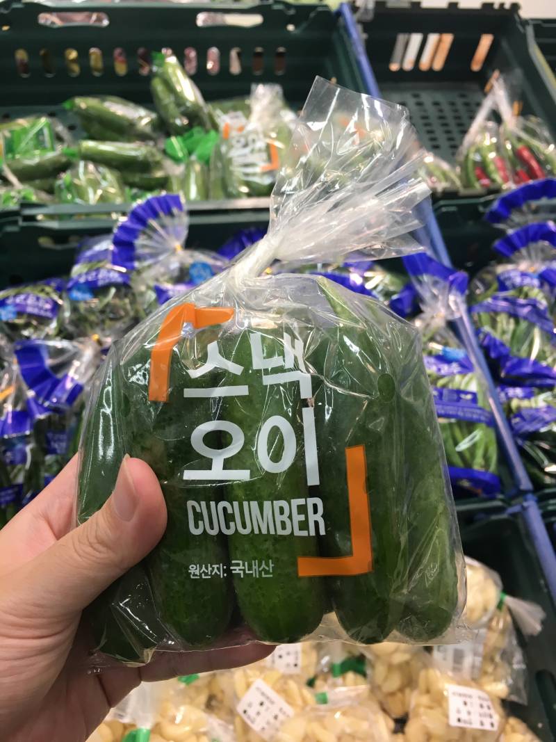 오이 겁나 작어 40 | 인스티즈