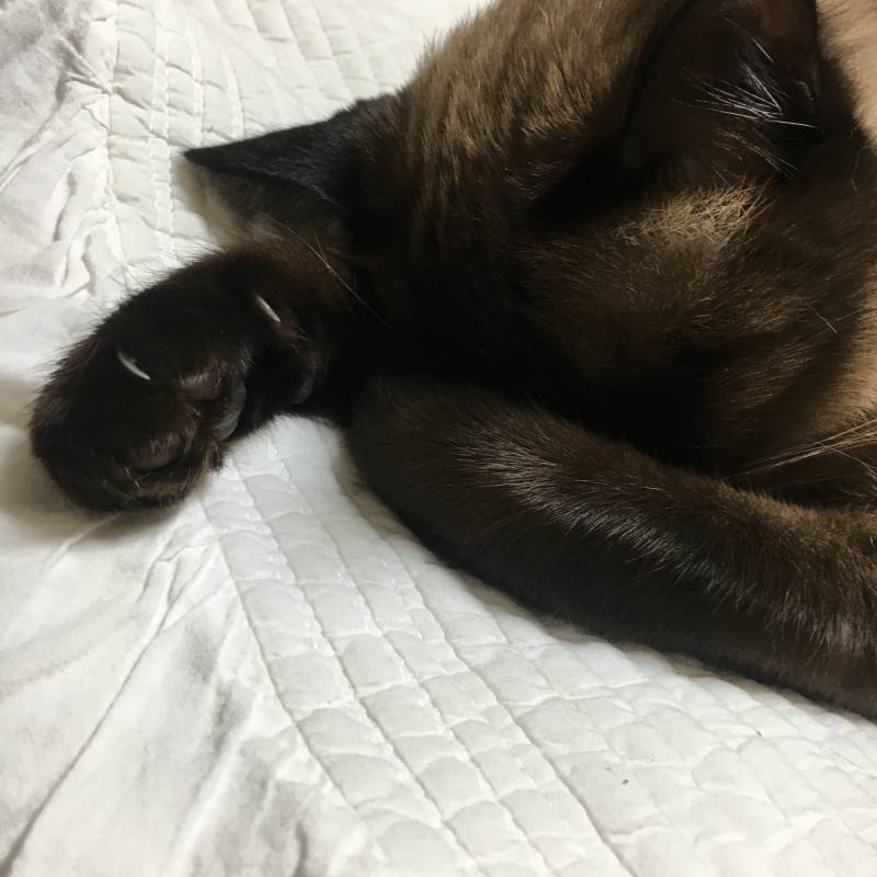 얘 지금 불켜놨다고 시위하는 건가????? 40 | 인스티즈