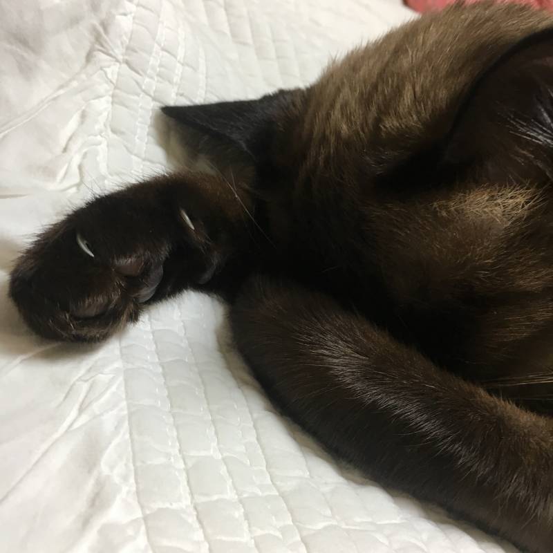 얘 지금 불켜놨다고 시위하는 건가????? 40 | 인스티즈