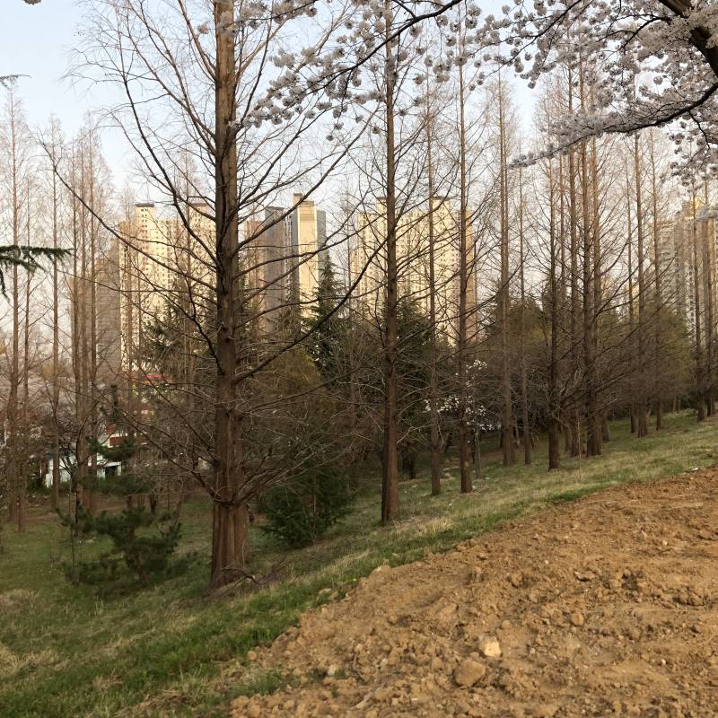 사진 찍는 쓰니 일상 | 인스티즈