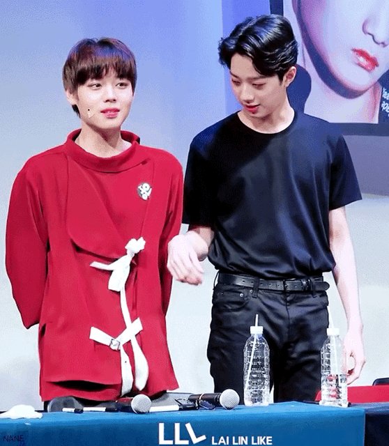 ㄱ 판윙 보고싶다 | 인스티즈