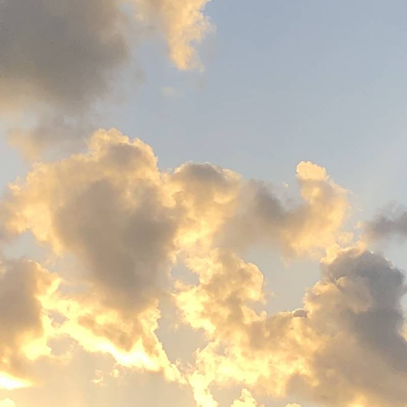 사진 찍는 쓰니 일상 | 인스티즈