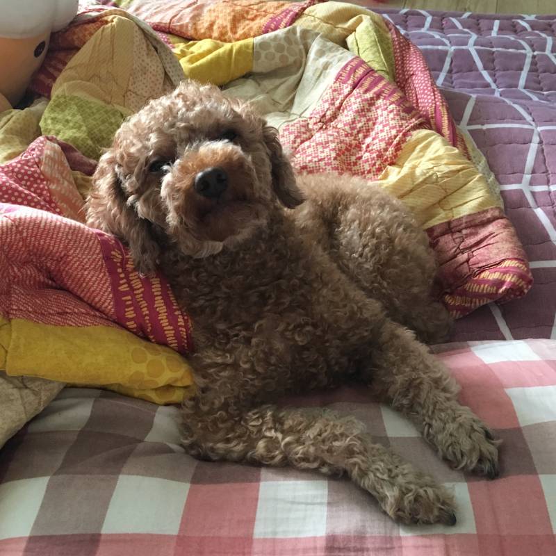 바람 소리때문에 눈물 맺힌 우리집 쫄보 40.. | 인스티즈