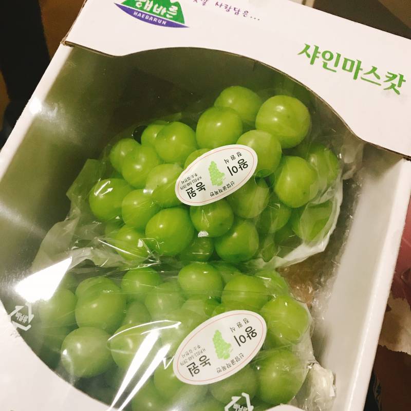 꺆!!!!!!여러분 이것보세요👁👁👁40404 | 인스티즈