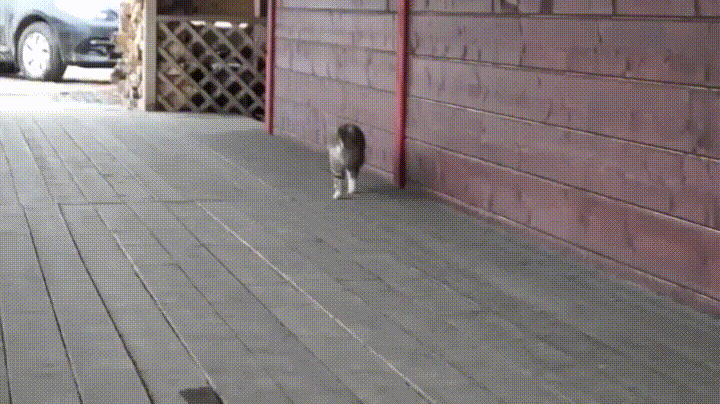 기분 좋아지고 싶은 사람들 들어와❤ | 인스티즈