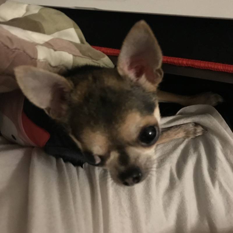 너무 졸려서 잠깐 잔다고 말하고 쭉 자려는 계획이였는데 | 인스티즈