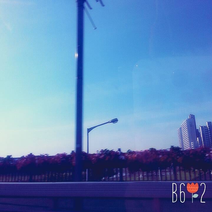 나 고3 때 아침마다 (거의) 매일 하늘 찍었던거 발견했는데 너무 아련해져써 ㅠㅠㅠ (사진많음주의) | 인스티즈