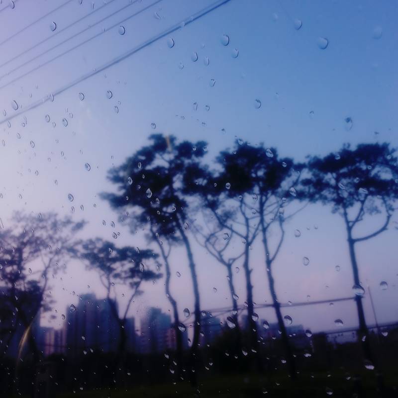 나 고3 때 아침마다 (거의) 매일 하늘 찍었던거 발견했는데 너무 아련해져써 ㅠㅠㅠ (사진많음주의) | 인스티즈