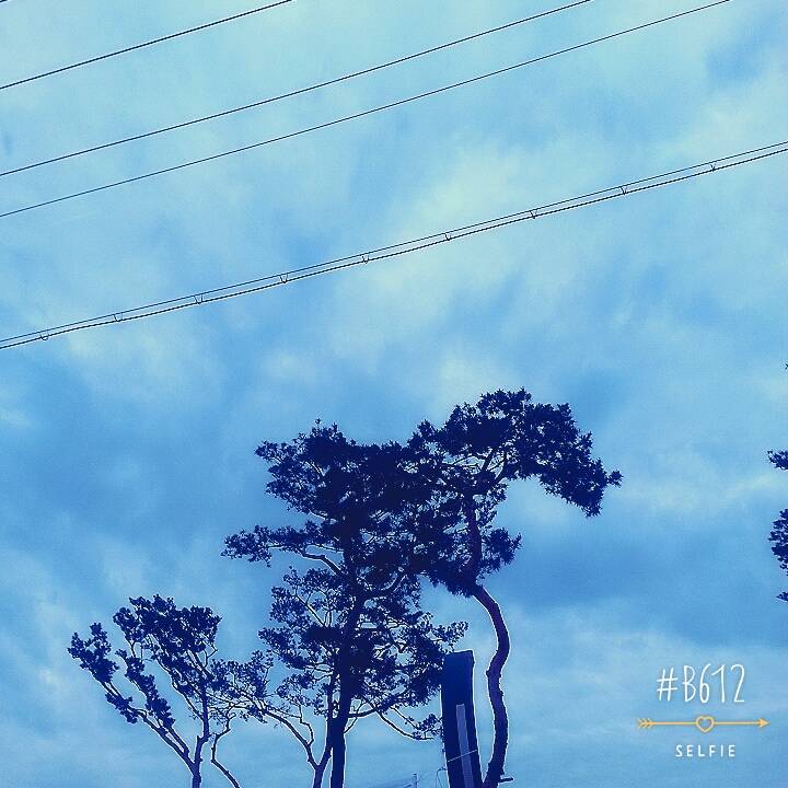 나 고3 때 아침마다 (거의) 매일 하늘 찍었던거 발견했는데 너무 아련해져써 ㅠㅠㅠ (사진많음주의) | 인스티즈