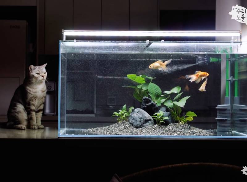 혹시 배경화면 만들줄 아는 익ㅠㅠㅠ이 사진 보고 조언좀 해줘ㅠㅠ | 인스티즈