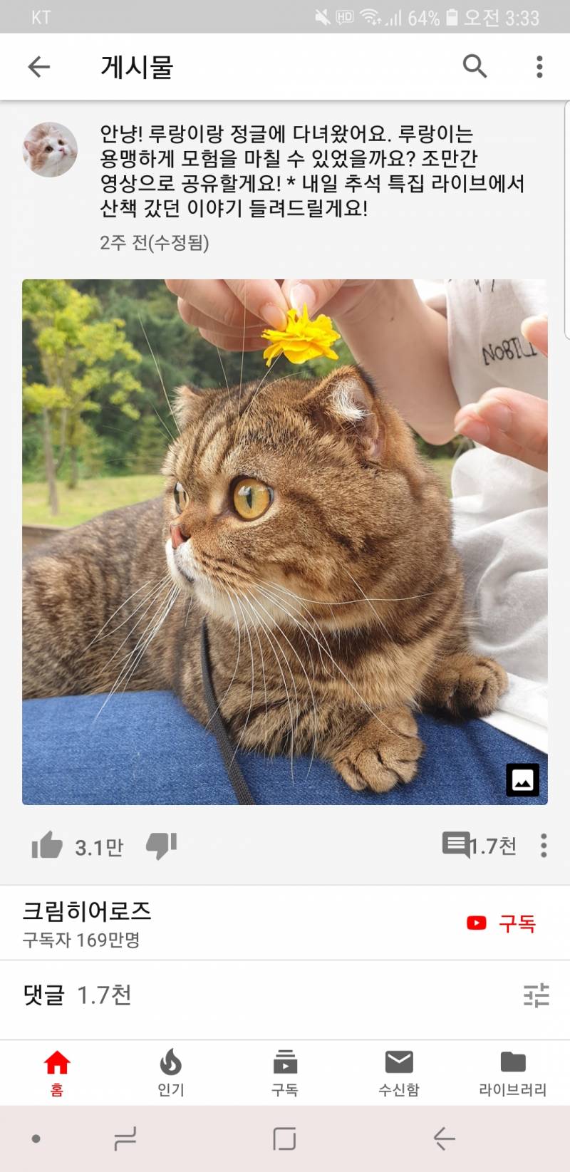 크림히어로즈 아는 익인이드라!! | 인스티즈