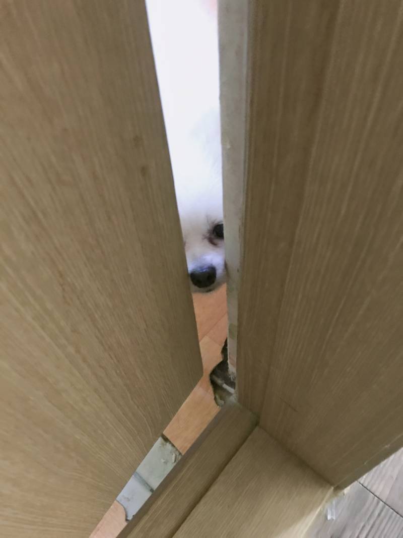 누나야? (빼꼼) | 인스티즈