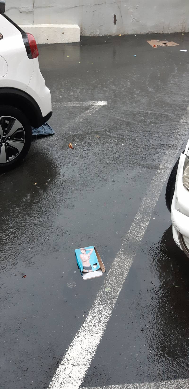 집에서 나왔는데 띠용ㅋㅋㅋㅋㅋ | 인스티즈