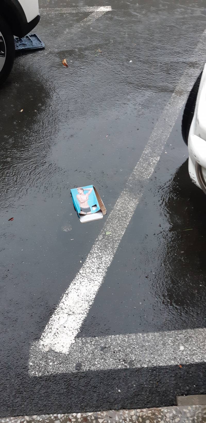 집에서 나왔는데 띠용ㅋㅋㅋㅋㅋ | 인스티즈