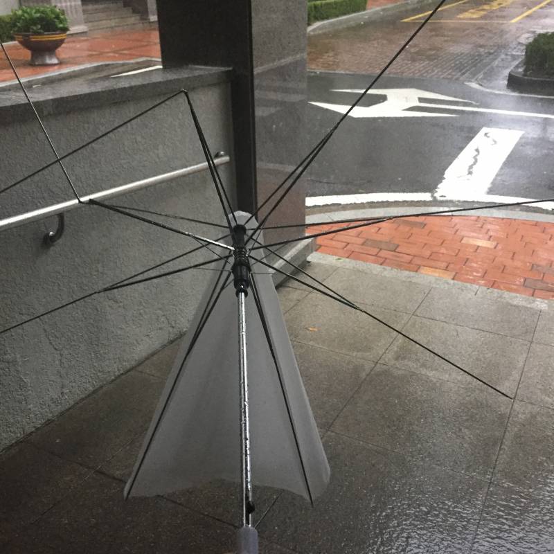 밖에 나갔다가...40 | 인스티즈