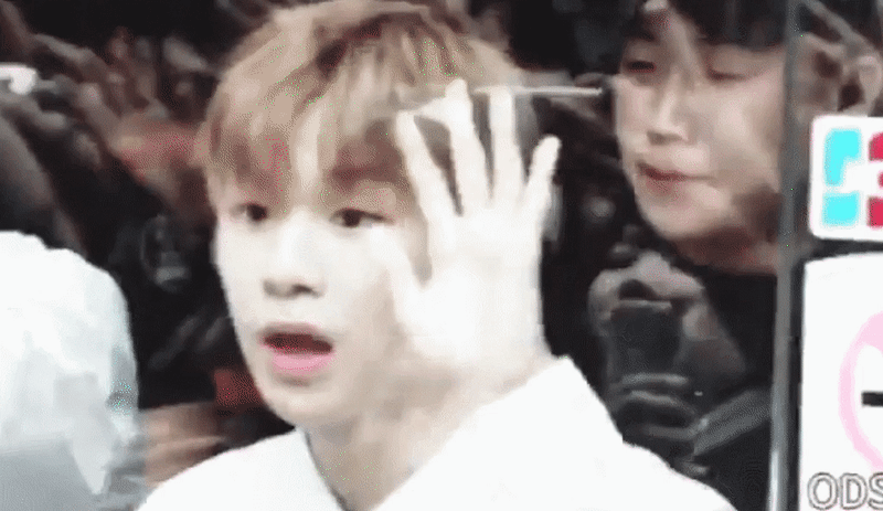 주인 기다리는 강아지 ㅈㅇ 강다니엘 | 인스티즈