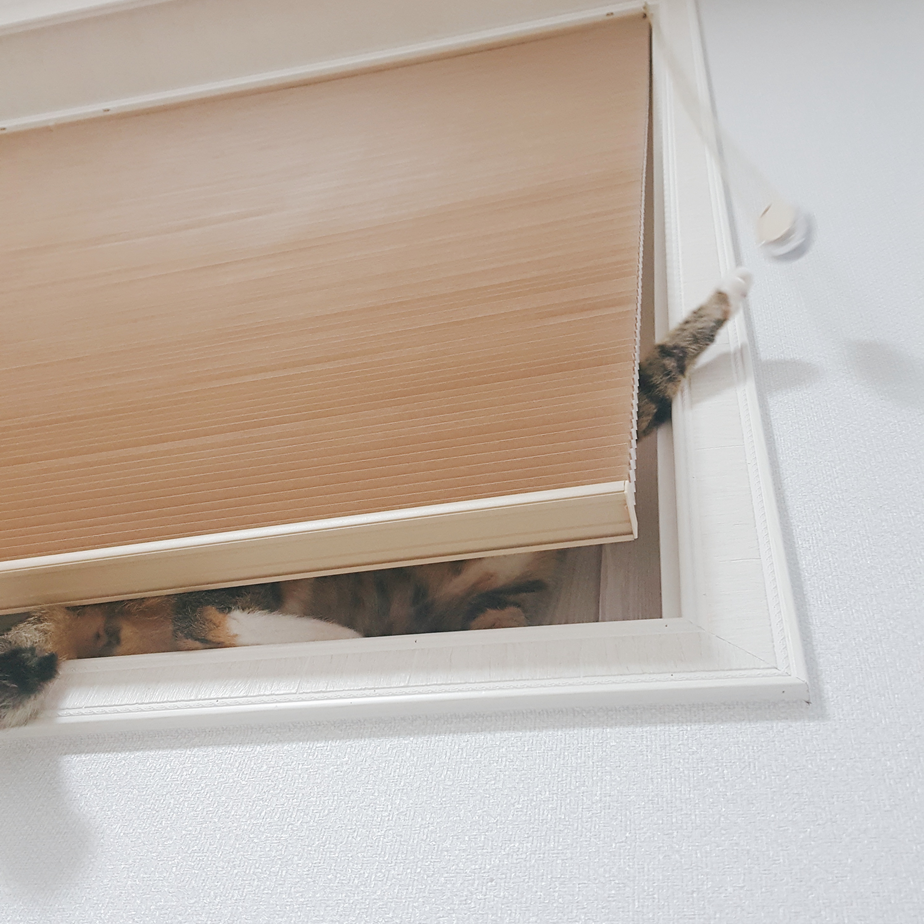 제발제발제발 이것 좀 봐주라ㅠㅠㅠㅠㅠㅠㅠㅠㅠㅠ 40404040 | 인스티즈