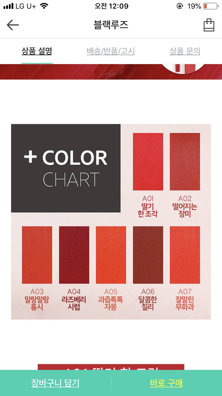 블랙루즈 에어 핏 벨벳틴트 아는 사람!! | 인스티즈