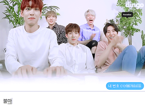 데이식스 원필이랑 딩고랑 다시 싸웠으면 좋겠다ㅋㅋㅋㅋㅋㅋㅋ | 인스티즈