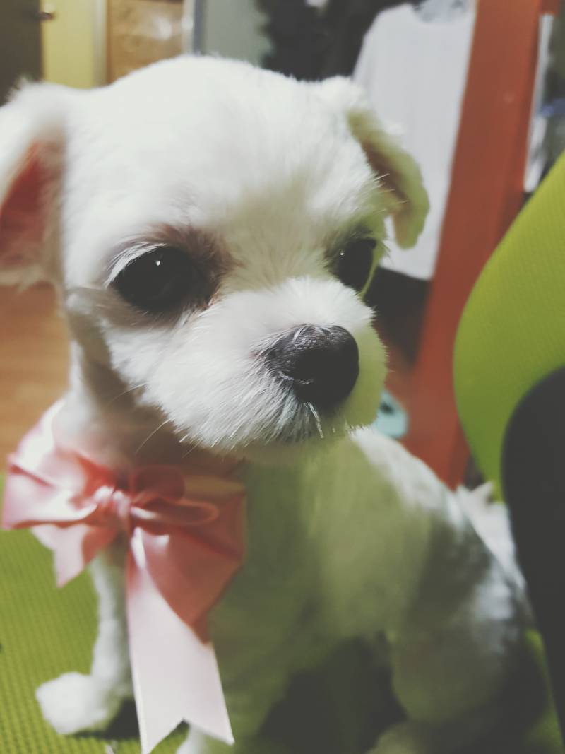 헉 지금까지 찍었던것중에서 제일 잘찍었어 | 인스티즈